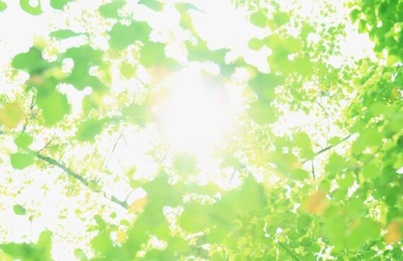鍼灸治療を受けることに迷いがある方へ｜鳥取のえん鍼灸治療院は身体の様々な悩みへ対応